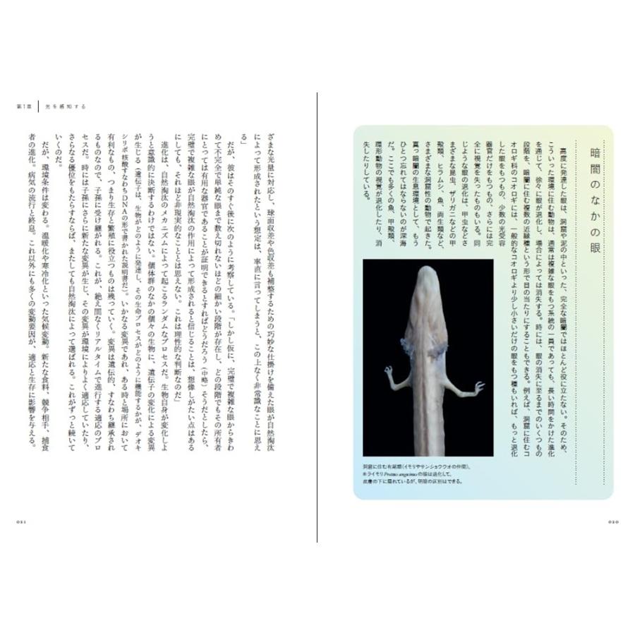 スティーブ・パーカー 動物の視覚はどのように進化したか Book |  | 02