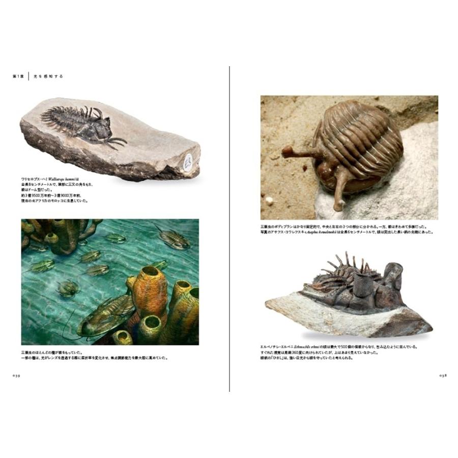 スティーブ・パーカー 動物の視覚はどのように進化したか Book |  | 03