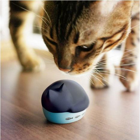 NEKO 完全ワイヤレスイヤホン HP-C28BT クロ Headphone/Earphone