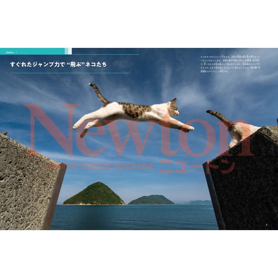Newton別冊 Nyaton 増補版 ネコの科学 Mook |  | 05