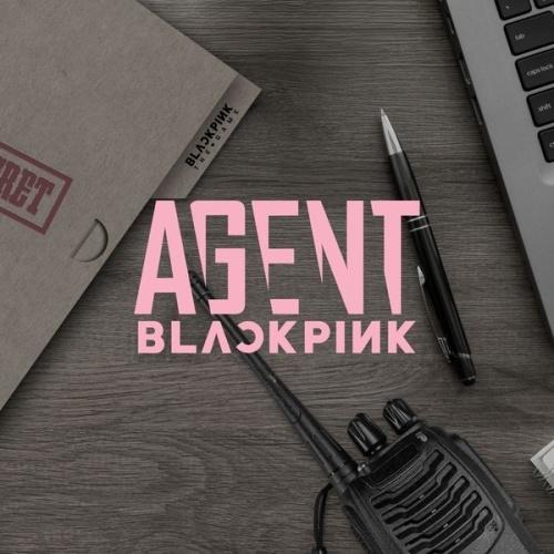 BLACKPINK BLACKPINK THE GAME COUPON CARD COLLECTION ［ミュージックカード］＜数量限定生産盤＞ Accessories | 