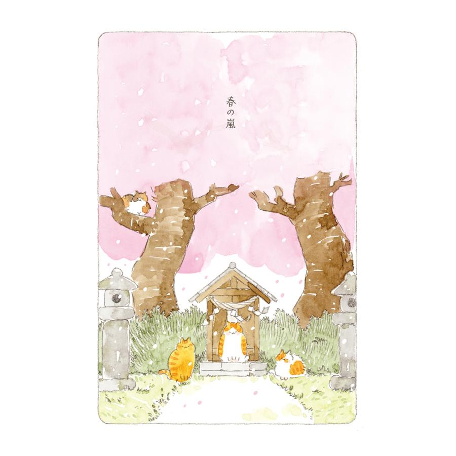 ねこまき ねことじいちゃん(12) (12) Book |  | 02