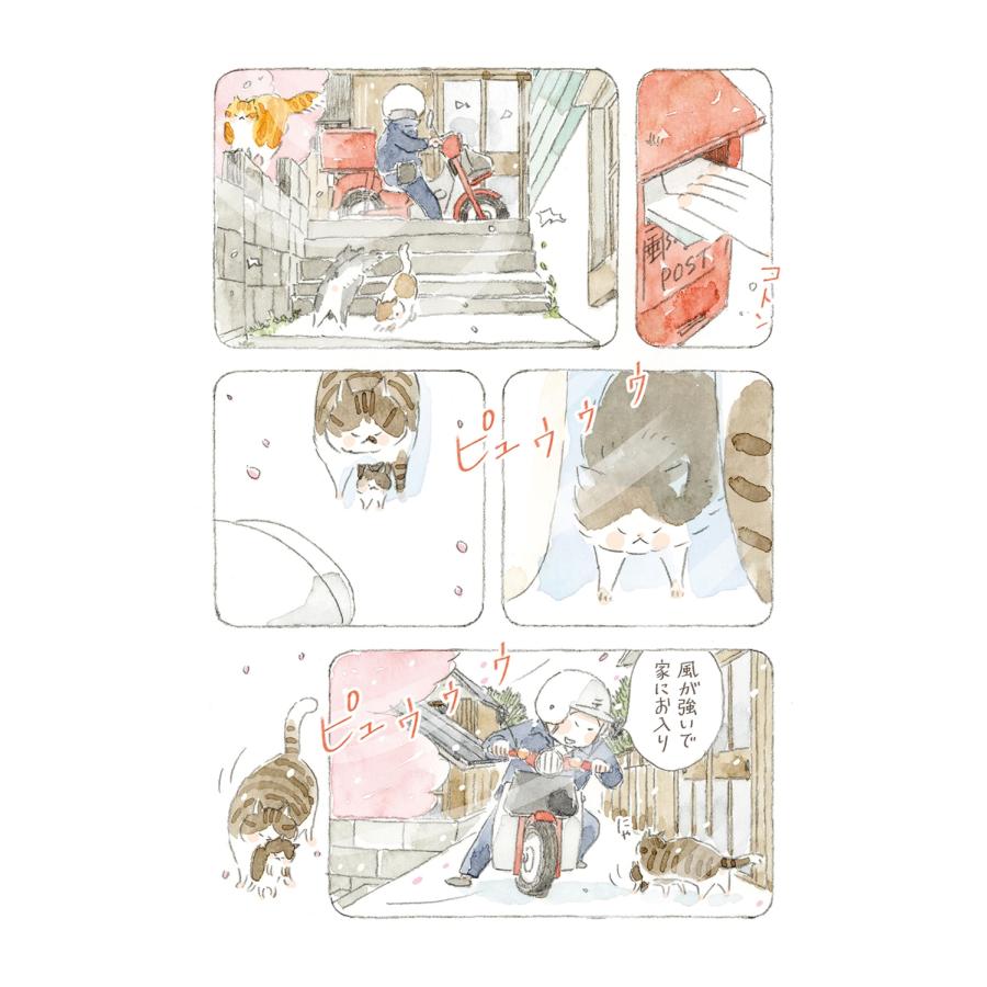 ねこまき ねことじいちゃん(12) (12) Book |  | 05