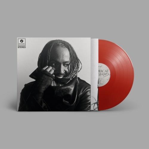 Thundercat Distracted＜Red Vinyl＞ LP ※特典あり |  | 01