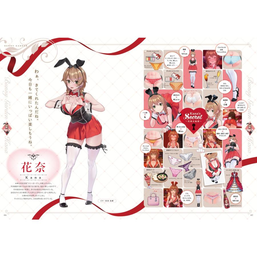 電撃ゲーム書籍編集部 バニーガーデン&へべれけ ばにーがーでん 公式ビジュアルファンブック Book |  | 02