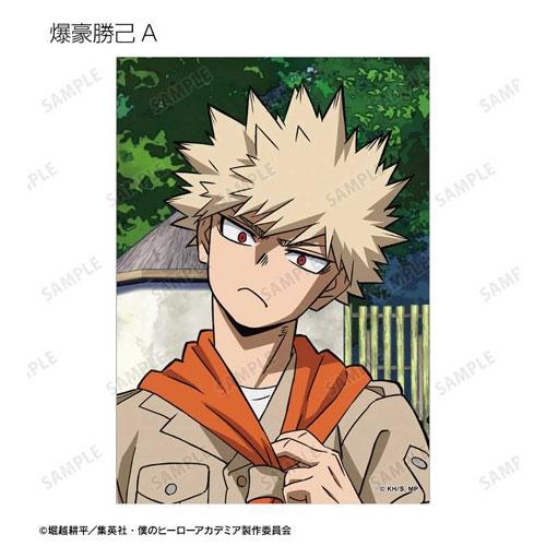 TVアニメ『僕のヒーローアカデミア』描き下ろし サファリルックver. トレーディングブロマイド(12枚入りBOX) Accessories |  | 02