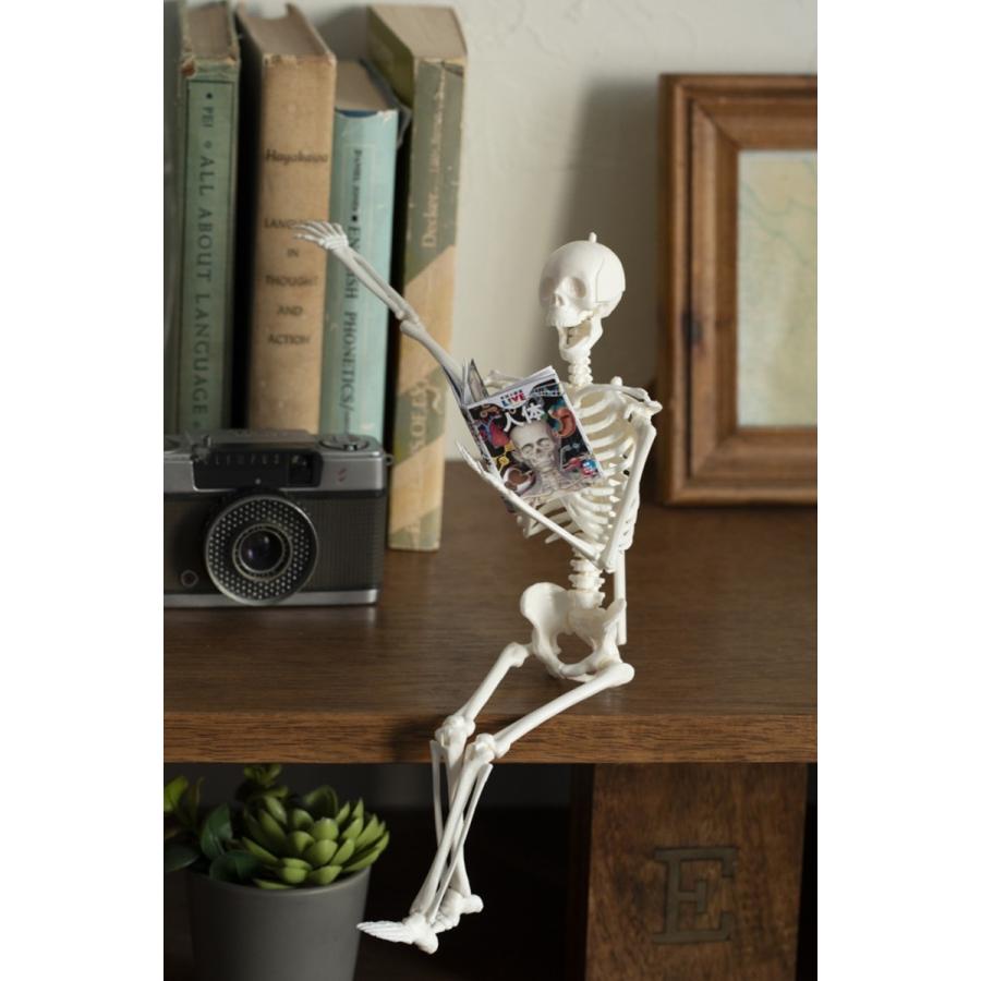 坂井建雄 1/6サイズ人体骨格模型組み立てキット Book |  | 02