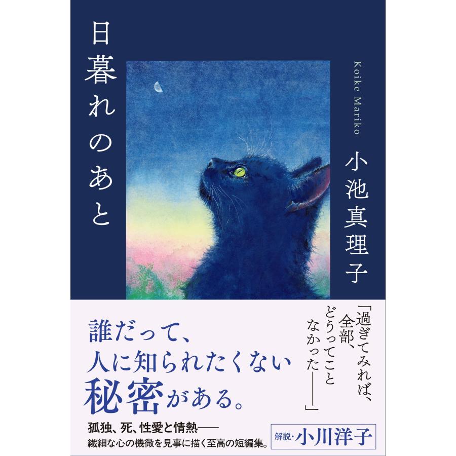 小池真理子 日暮れのあと Book |  | 01