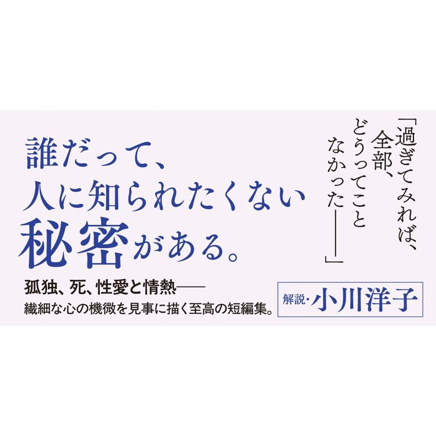 小池真理子 日暮れのあと Book |  | 02