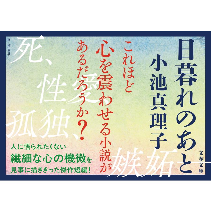 小池真理子 日暮れのあと Book |  | 04