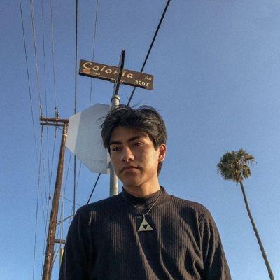 Los Retros Early Days (2016-2019)＜Hazel Vinyl＞ LP（Yahoo!・タワーレコード Yahoo!店）