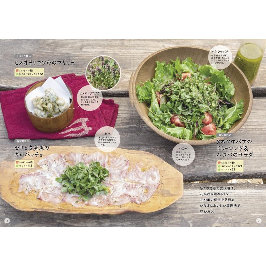 長野修平 食べられる野草 採り方・食べ方・見分け方 Book |  | 01