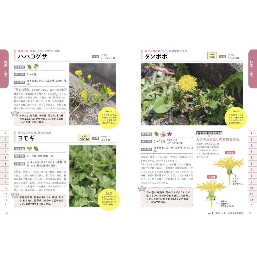 長野修平 食べられる野草 採り方・食べ方・見分け方 Book |  | 02