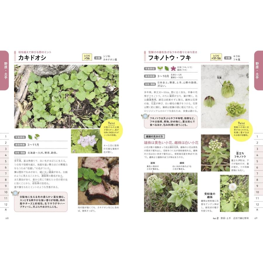 長野修平 食べられる野草 採り方・食べ方・見分け方 Book |  | 03