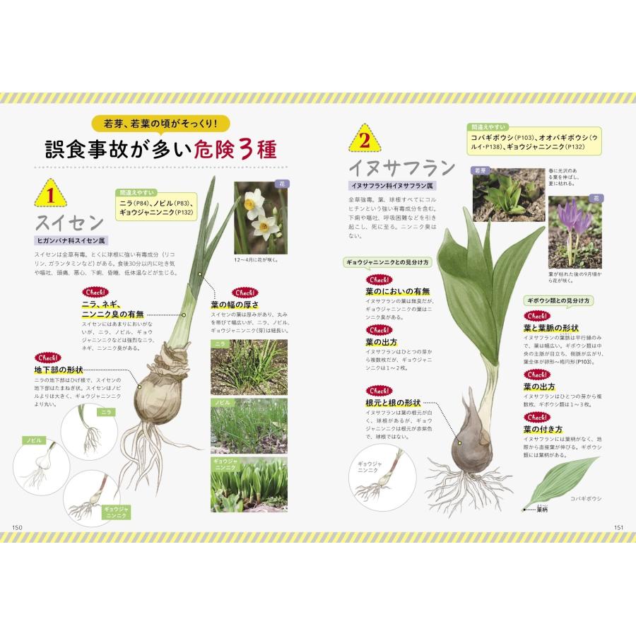 長野修平 食べられる野草 採り方・食べ方・見分け方 Book |  | 04