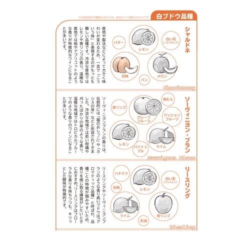 JUNERAY 決定版 お酒のおいしい選びかた ワイン・日本酒・ビールの超入門 Book |  | 05