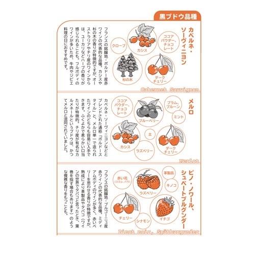JUNERAY 決定版 お酒のおいしい選びかた ワイン・日本酒・ビールの超入門 Book |  | 06
