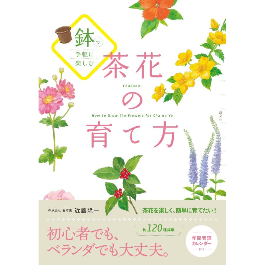 近藤隆一 鉢で手軽に楽しむ 茶花の育て方 Book | 