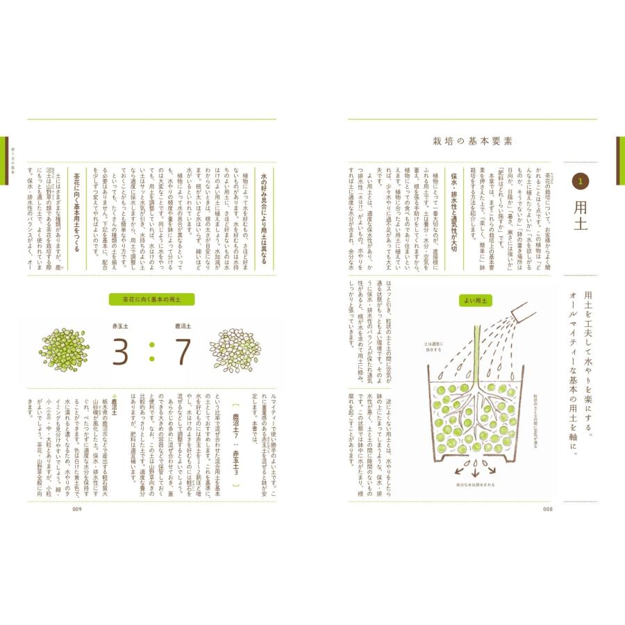 近藤隆一 鉢で手軽に楽しむ 茶花の育て方 Book |  | 03