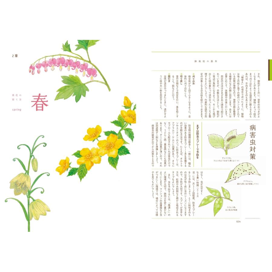 近藤隆一 鉢で手軽に楽しむ 茶花の育て方 Book |  | 04