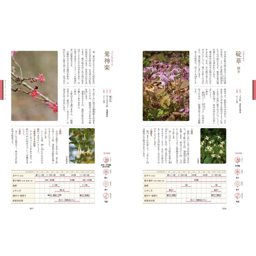 近藤隆一 鉢で手軽に楽しむ 茶花の育て方 Book |  | 05