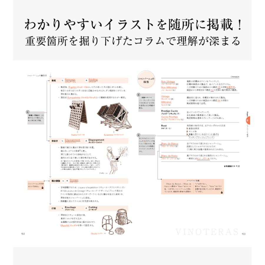 ヴィノテラスワインスクール ヴィノテラス ワインスクール ソムリエ・ワインエキスパート試験対策 2026 Vol.1 Vol2 Book |  | 03