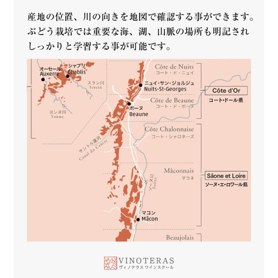 ヴィノテラスワインスクール ヴィノテラス ワインスクール ソムリエ・ワインエキスパート試験対策 2026 Vol.1 Vol2 Book |  | 05