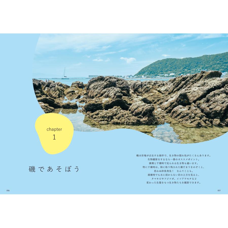 茂木みかほ 子どもと海あそび Book |  | 02