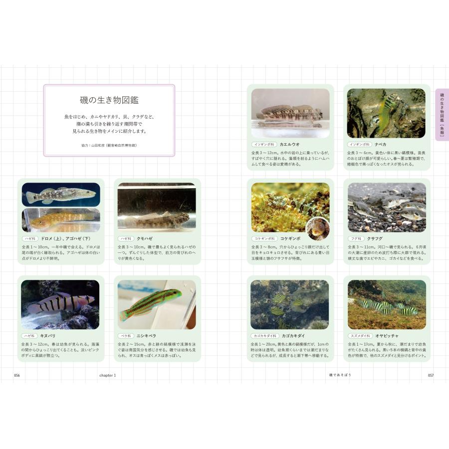 茂木みかほ 子どもと海あそび Book |  | 04