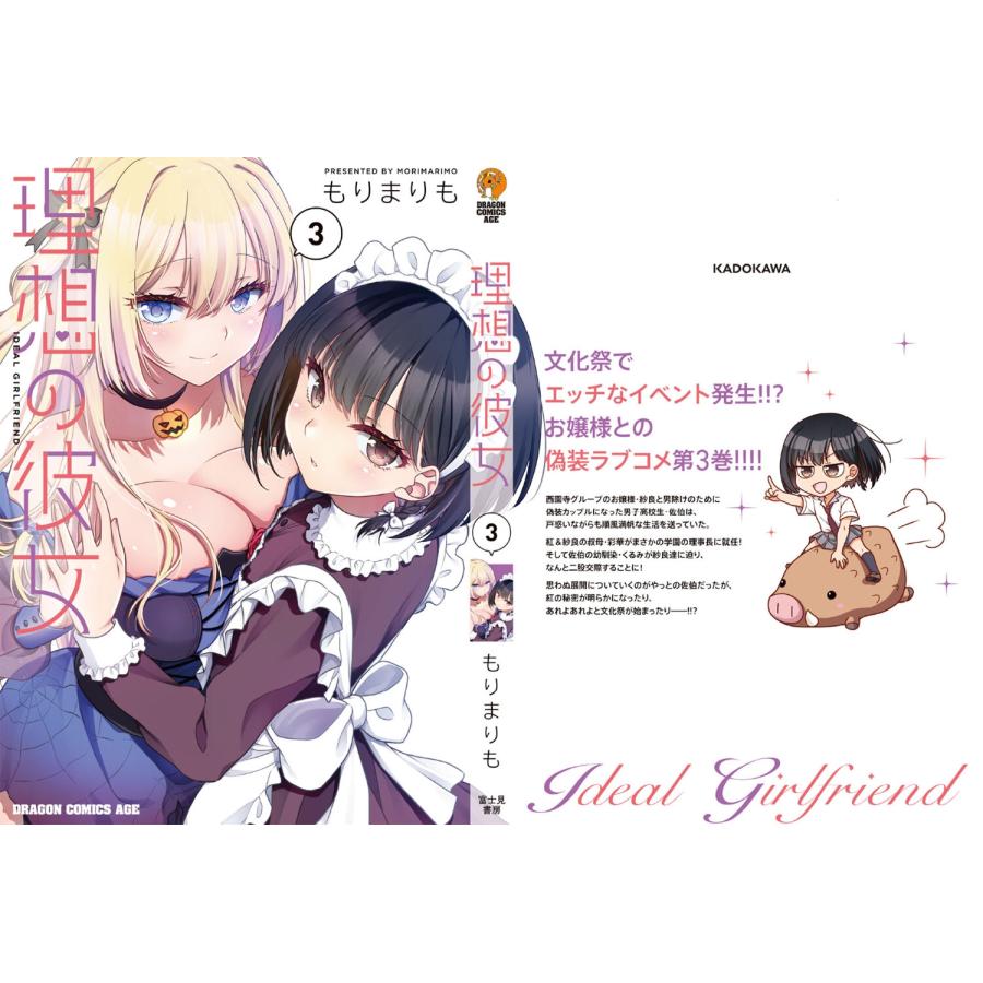 もりまりも 理想の彼女 3 COMIC |  | 03