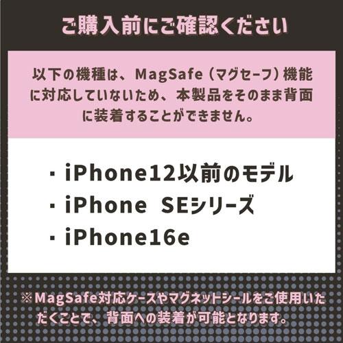 Camee Neo 自撮りモニター/シルバー Accessories |  | 08