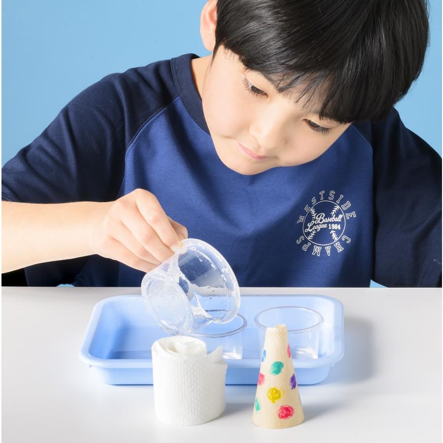 学研の科学編集部 学研の科学 きらめく宝石結晶 自分で育てる!光でかざる! Book |  | 03