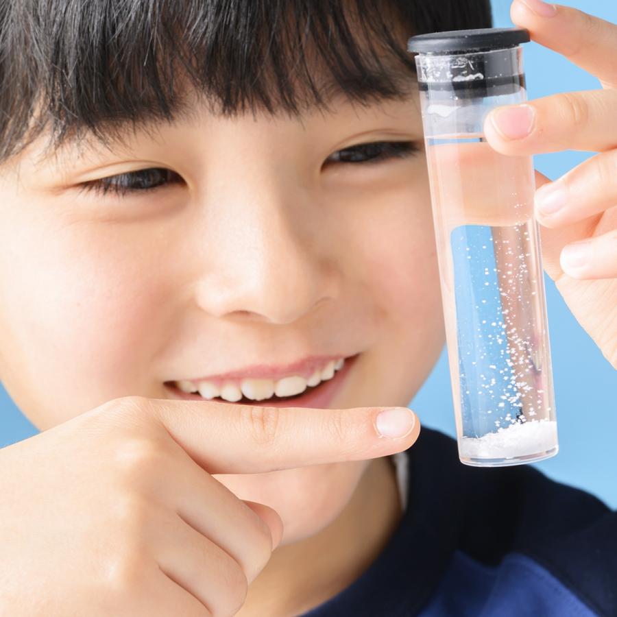 学研の科学編集部 学研の科学 きらめく宝石結晶 自分で育てる!光でかざる! Book |  | 04