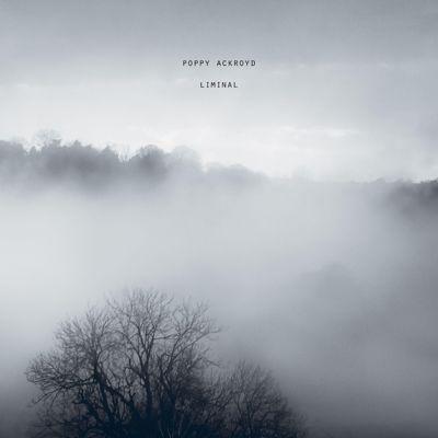 Poppy Ackroyd Liminal LP | 