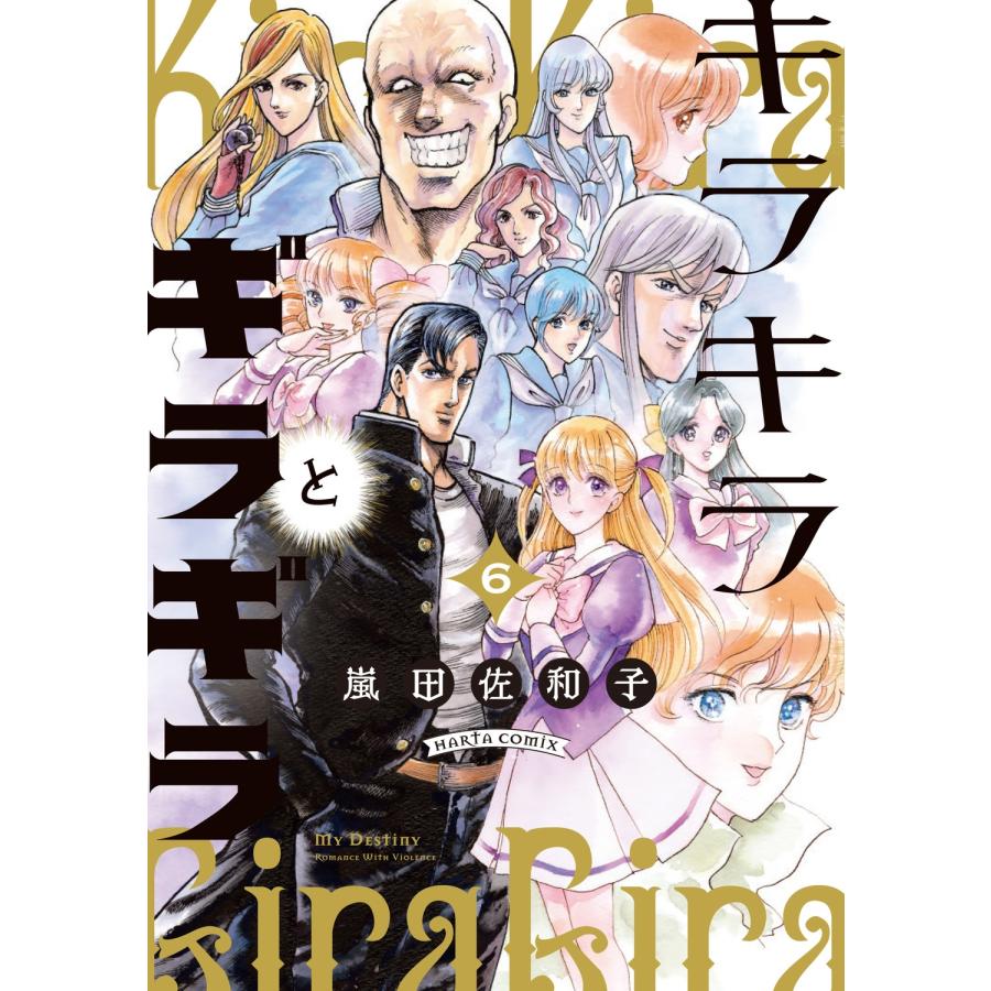 嵐田佐和子 キラキラとギラギラ 6 COMIC | 