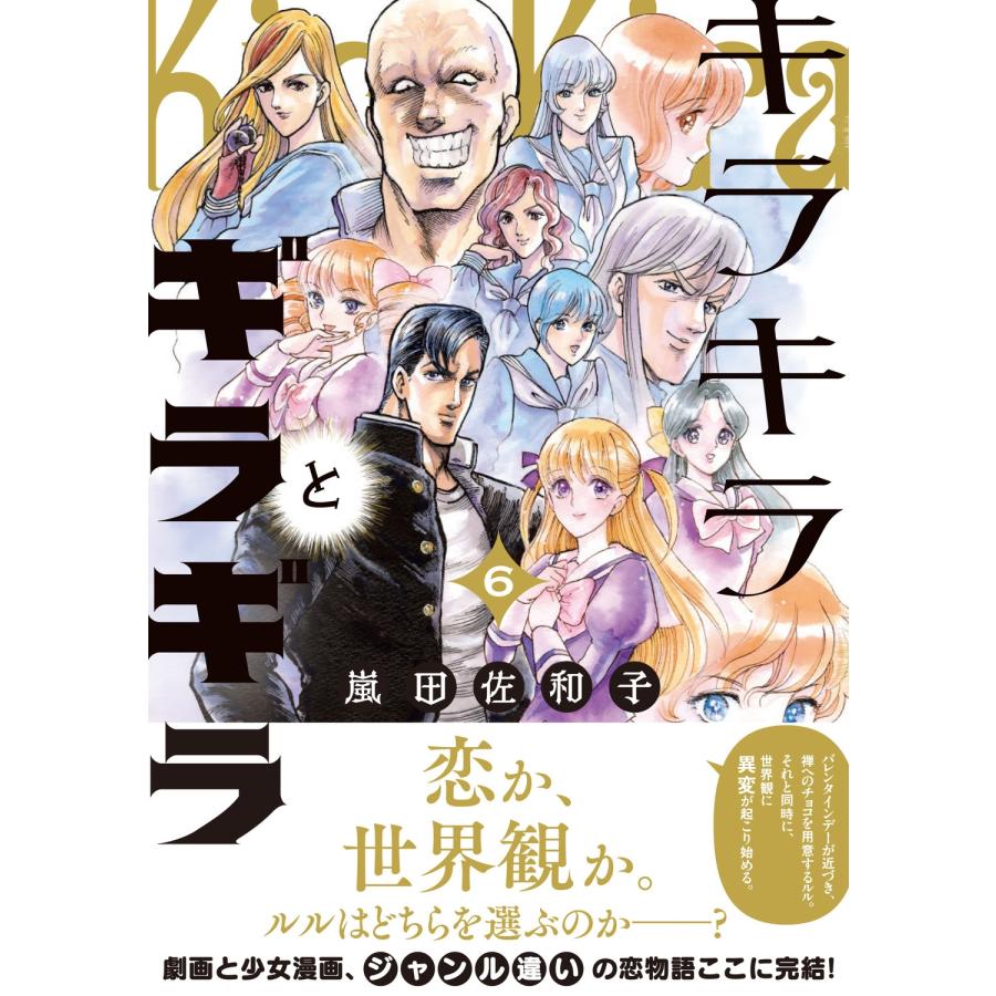 嵐田佐和子 キラキラとギラギラ 6 COMIC |  | 01