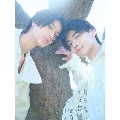 フジテレビ ドラマ「コントラスト」公式ビジュアルブック Book