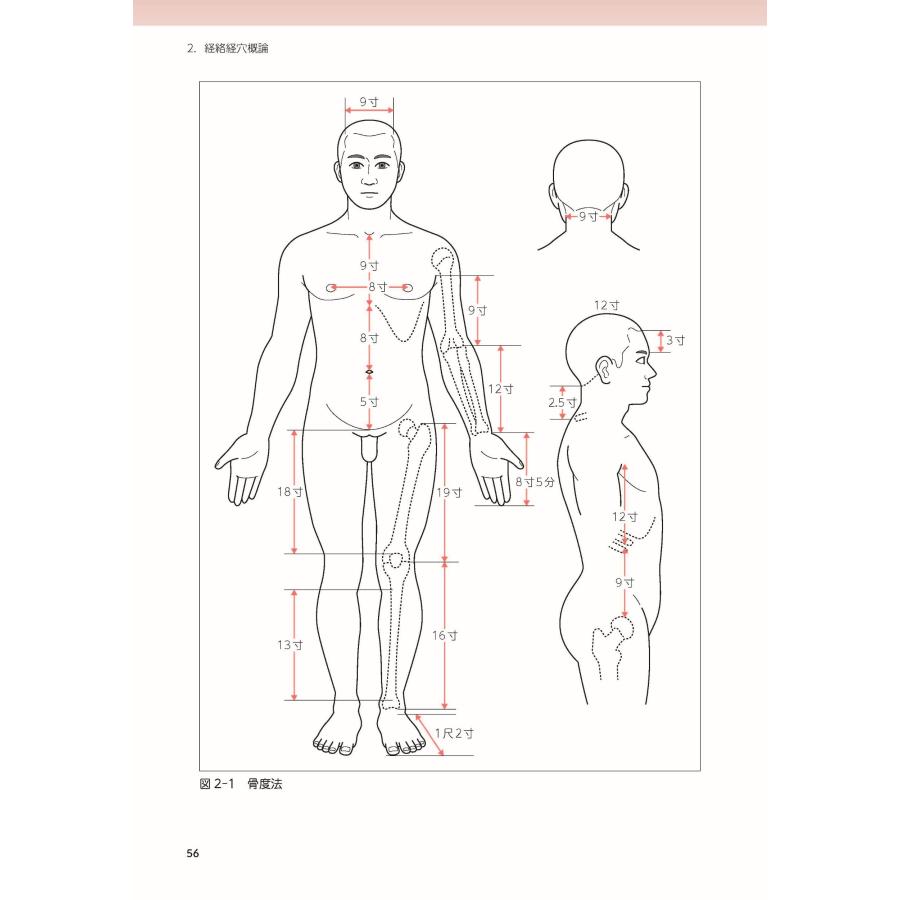 学校法人呉竹学園 はり師・きゅう師・あん摩マッサージ指圧師 国試対策要点の総チェック 下巻 (ダイジェストスタディ) Book |  | 02