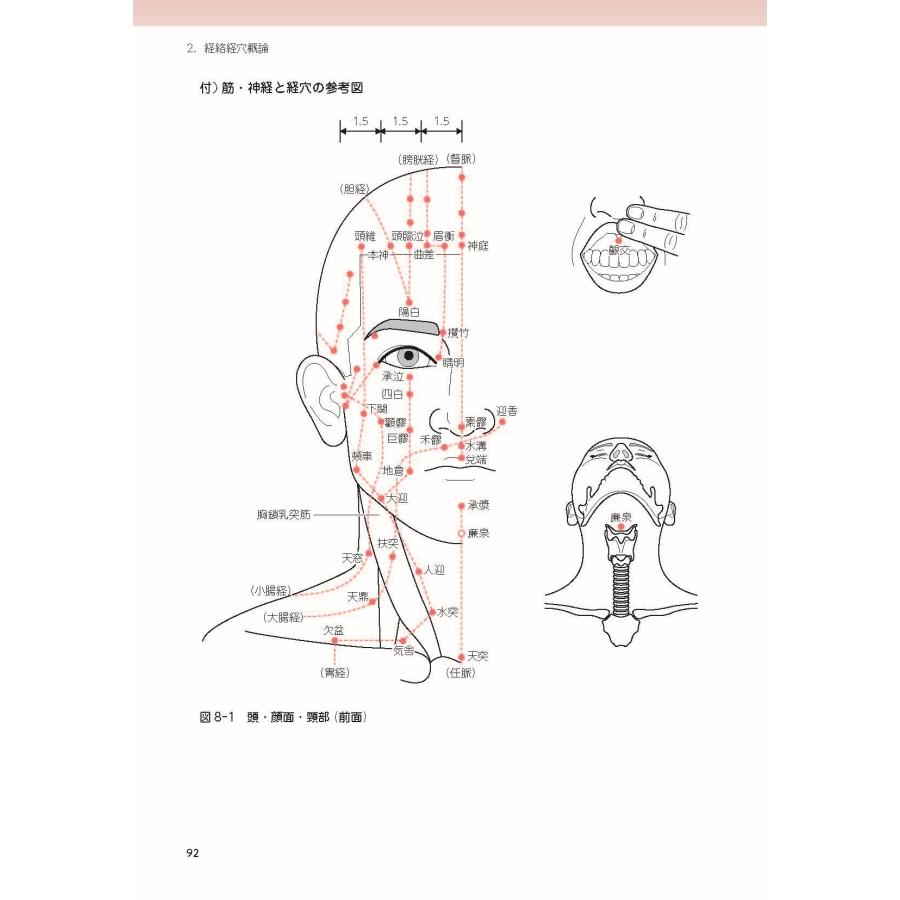 学校法人呉竹学園 はり師・きゅう師・あん摩マッサージ指圧師 国試対策要点の総チェック 下巻 (ダイジェストスタディ) Book |  | 04