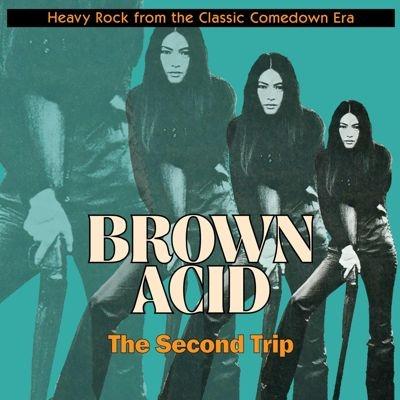 Various Artists Brown Acid: The Twenty-Second Trip CD | 