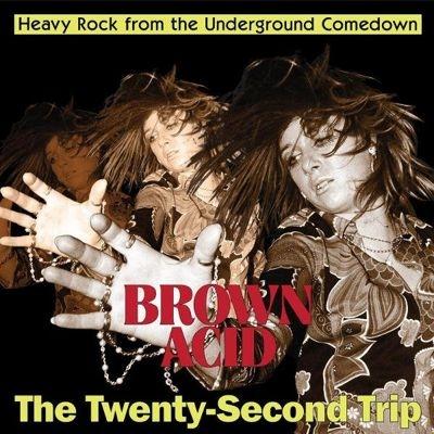 Various Artists Brown Acid: The Twenty-Second Trip LP | 