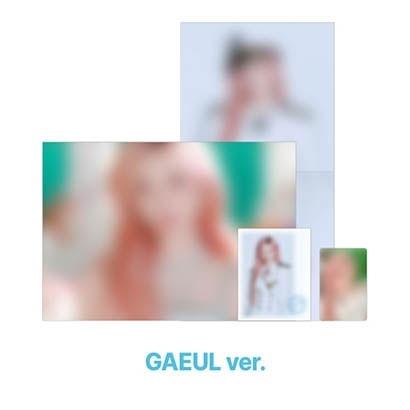 IVE [2026 IVE THE 4TH FAN CONCERT [DIVE into IVE] OFFICIAL MD] PHOTO KIT (GAEUL) Accessories | 