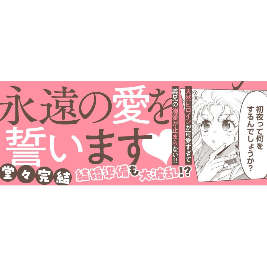 九重ヤエ 公爵家は義兄が継げばいい 〜ポンコツ令嬢の悪女計画〜 3 COMIC |  | 01