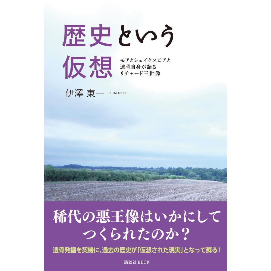 伊澤東一 歴史という仮想 Book | 