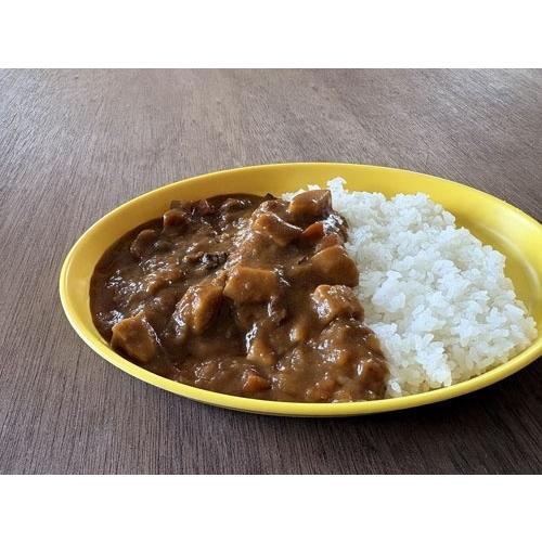 ボンカレー カレー皿&スプーンBOOK Mook |  | 04