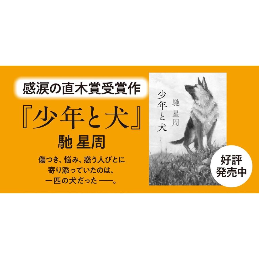 馳星周 ロスト・イン・ザ・ターフ Book |  | 02