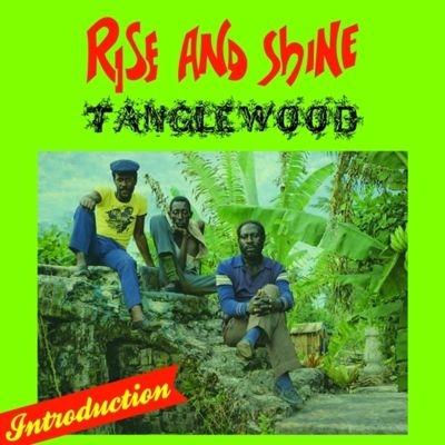 Tanglewood Rise And Shine LP | 