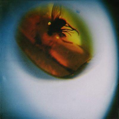 April + Vista Traditional Noise＜Translucent Fly Green Vinyl＞ LP | 