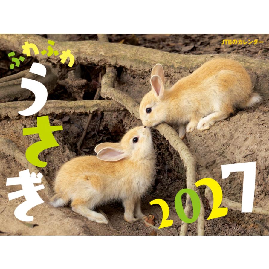 JTBパブリッシング JTBのカレンダー ふわふわうさぎ 2027(壁掛け/月めくり/動物) Book | 