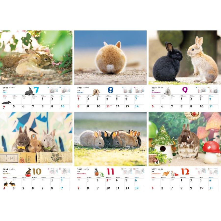 JTBパブリッシング JTBのカレンダー ふわふわうさぎ 2027(壁掛け/月めくり/動物) Book |  | 02